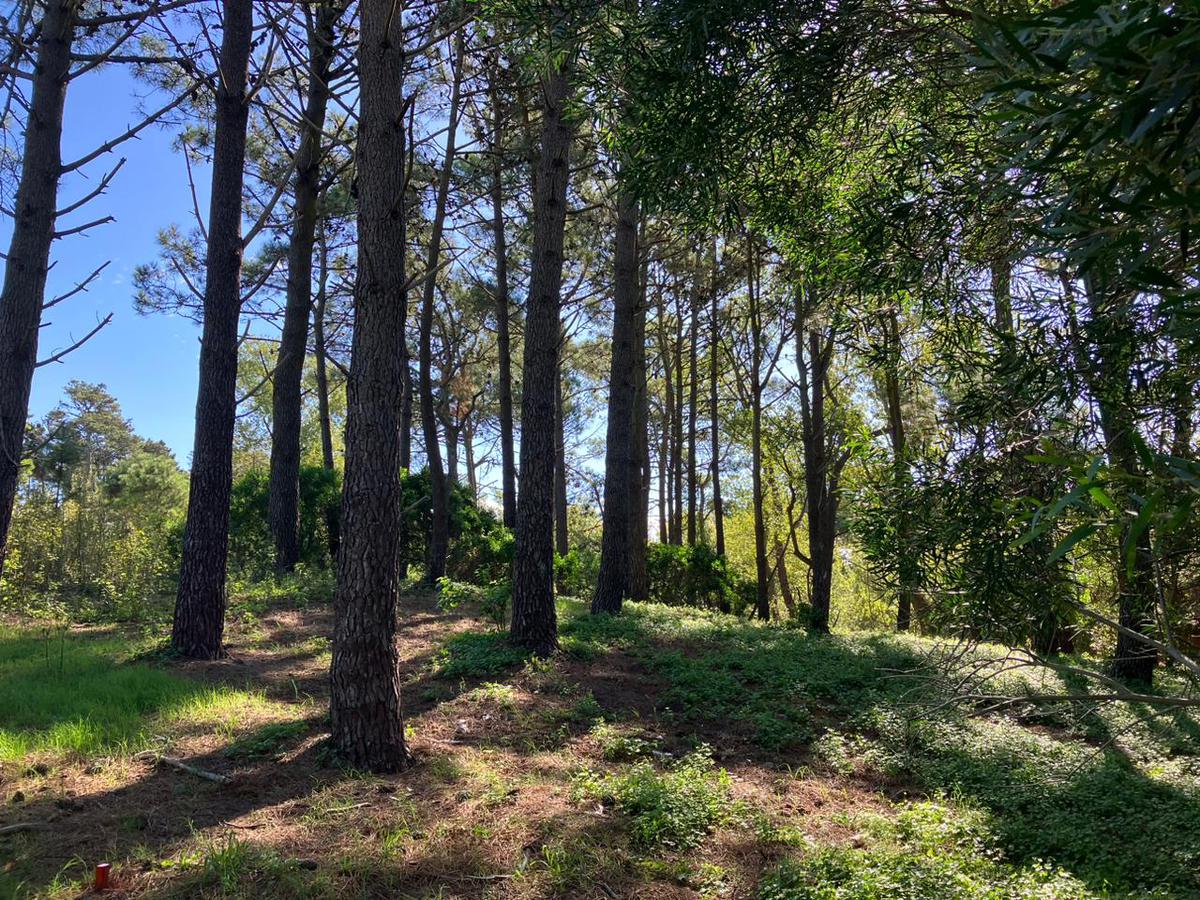 Terreno escriturado en Las Gaviotas. Excelente forestación y ubicación