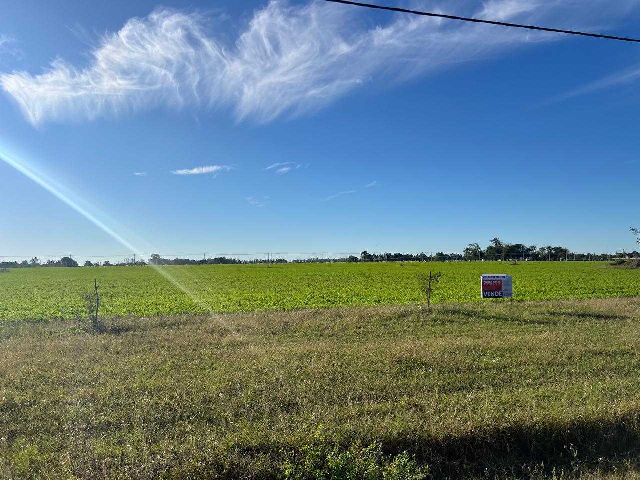 Terreno en venta 1 hectarea en Chacras de La Vanguardia, San Antonio de Areco