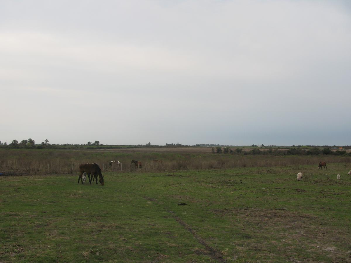 Chacra - Gualeguaychu