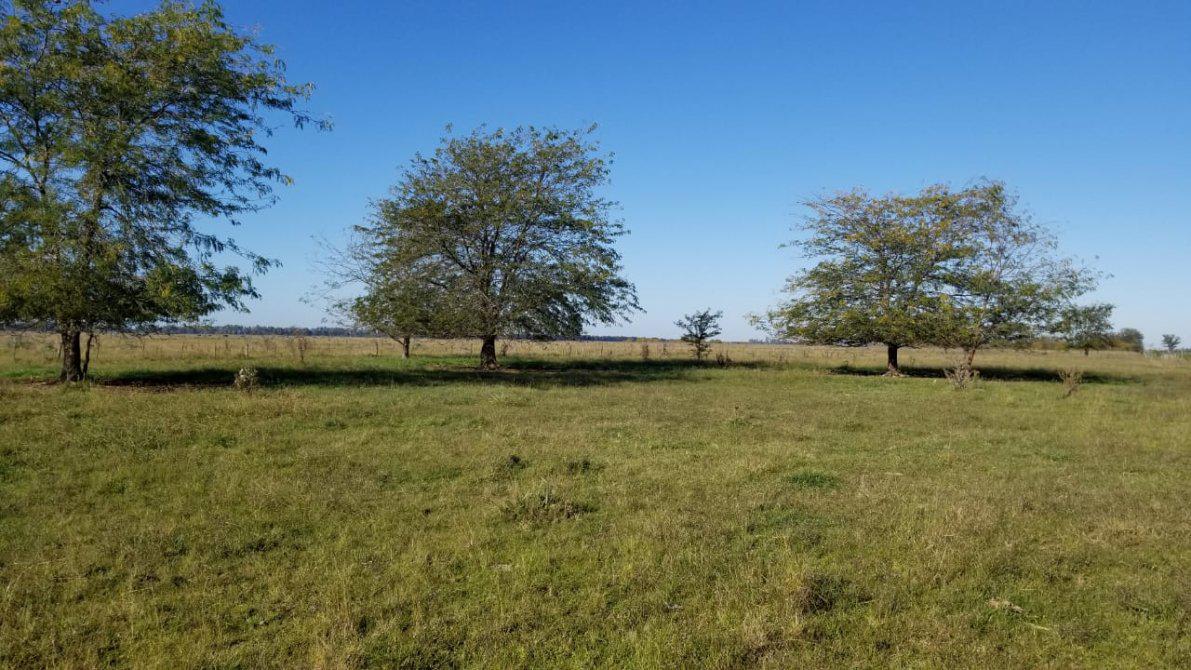 Lote en venta en Pampa San Vicente Barrio de Chacras