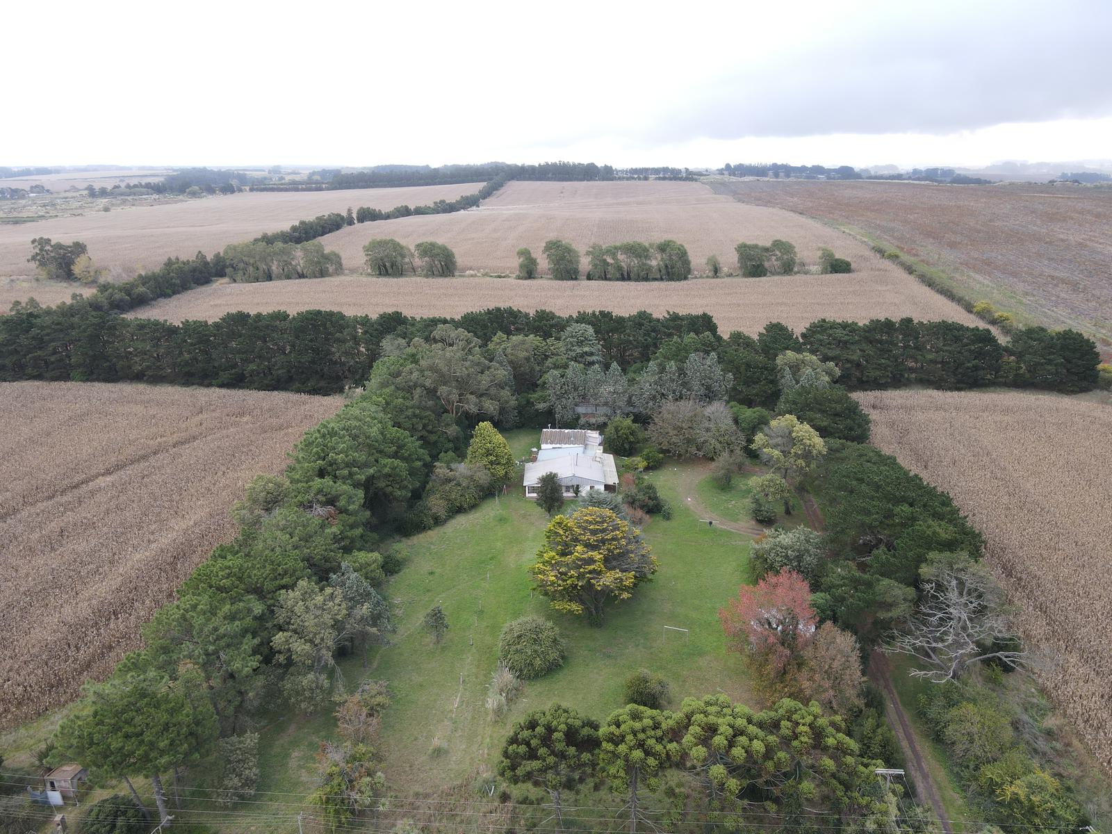 Campo en Barrio Batan