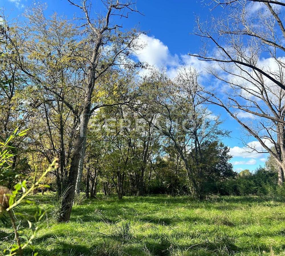 Venta. Lote arbolado. Calle principal. Los Pinos. Exaltacion de la Cruz