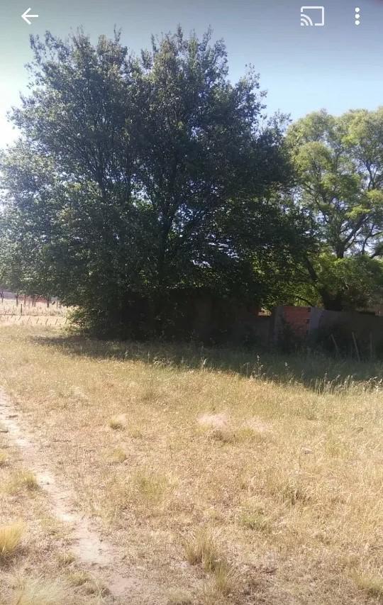 Terreno en Venta - 2750m2 - Tornquist