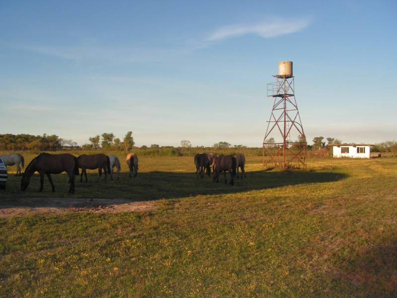 EXCELENTE CAMPO DE 192 HAS CON 1500 MTS DE FRENTE AL RIO LUJAN