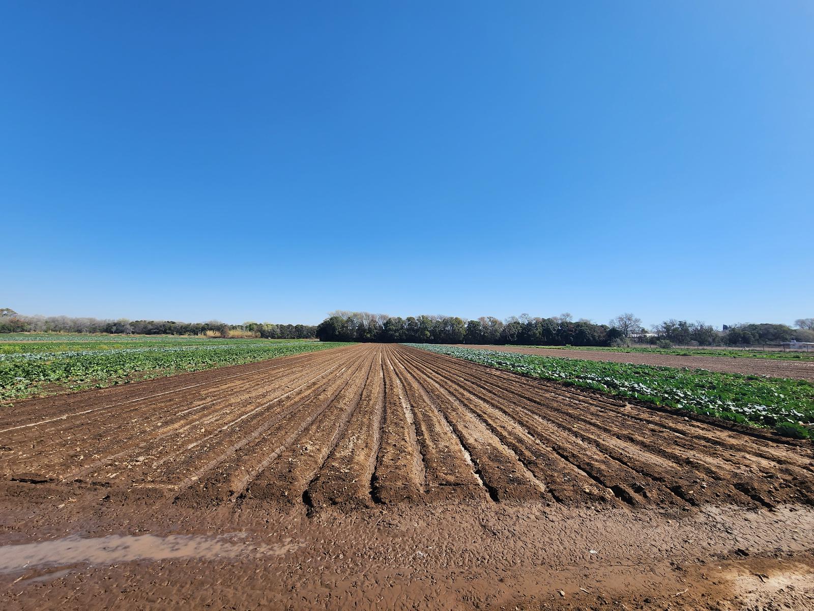 Campo en Villa Posse