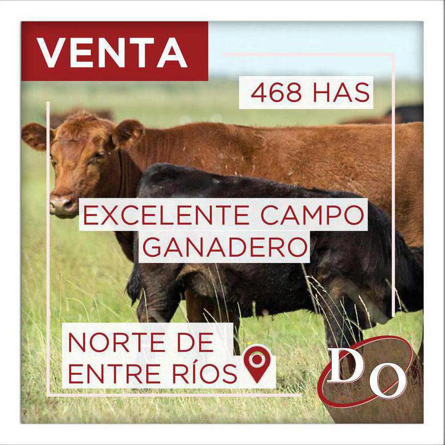 Venta campo ganadero 131 has Mocoretá