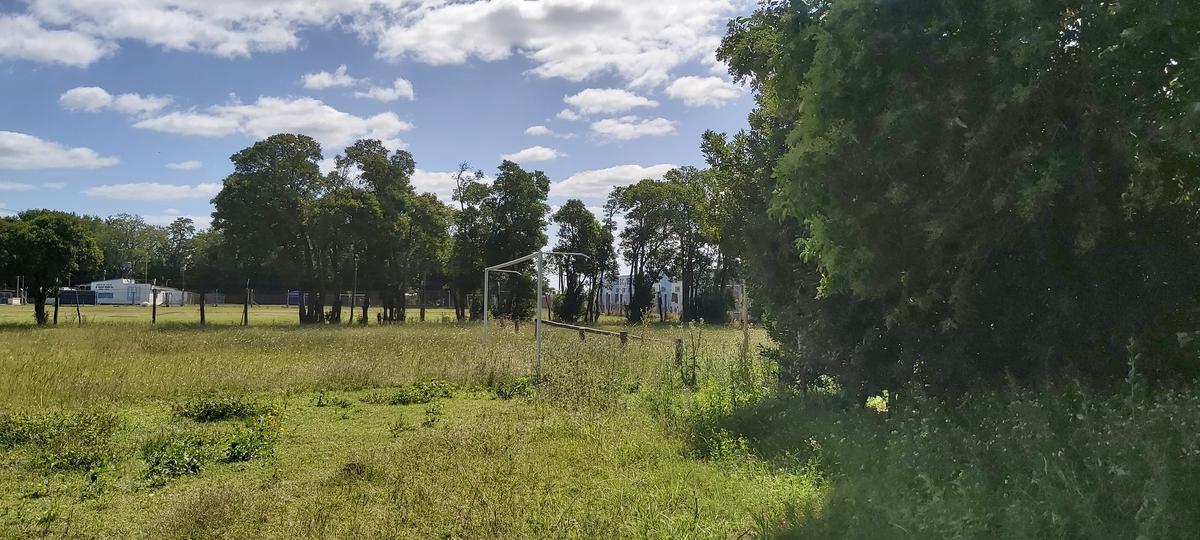 Terreno - Junin