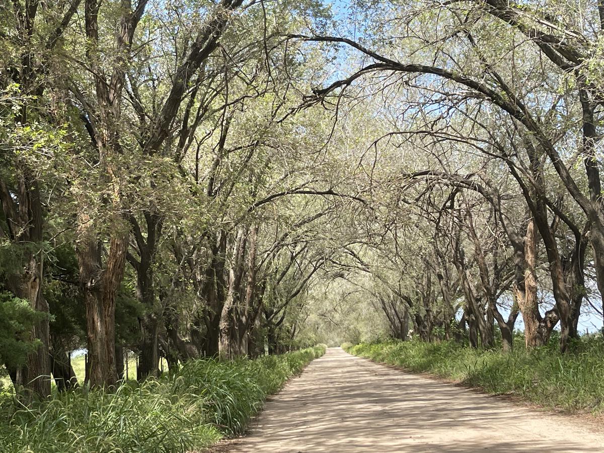 DESPEÑADEROS  -CAMPO EN VENTA de 18 Hectareas  - 3 propiedades - EXCELENTE UBICACIÓN!