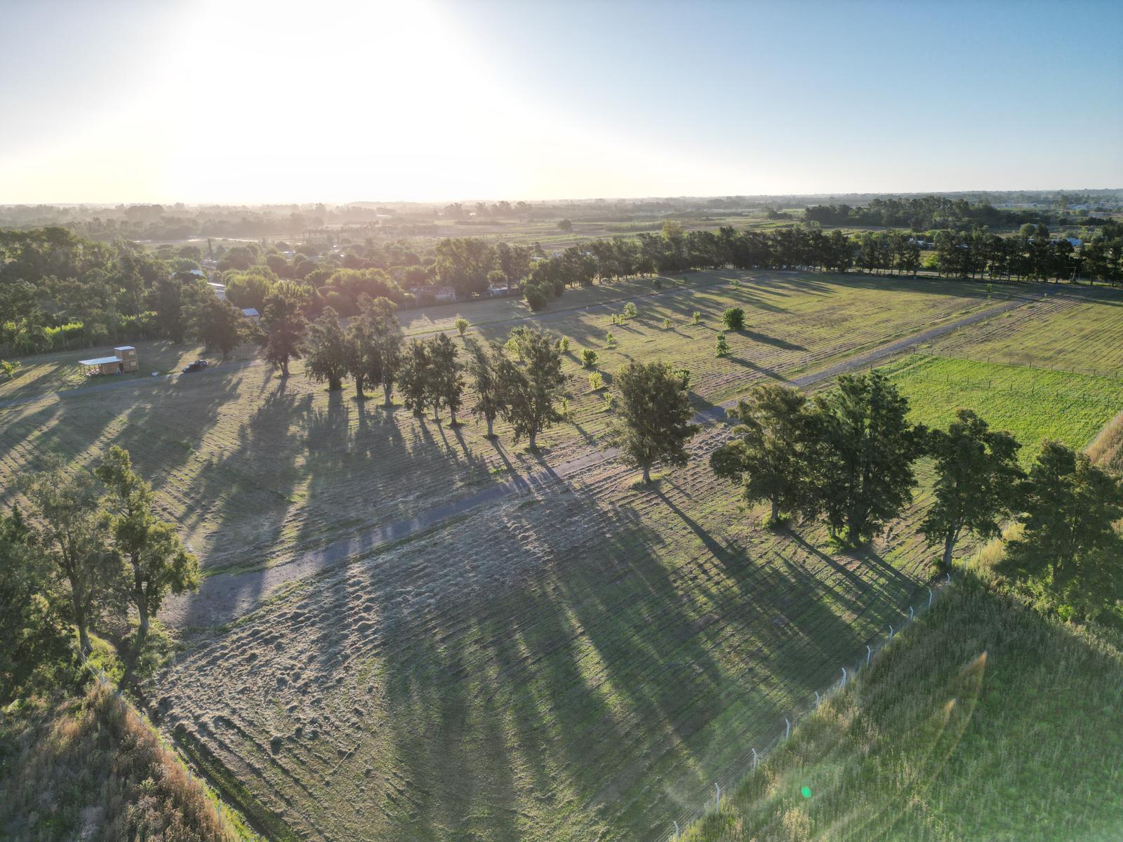 Barrio LOS PINARES en Arana, lotes de 900 a 1200 mts Ingreso por asfalto