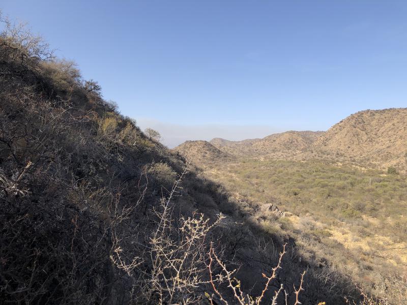 San Francisco  Del Monte De Oro,  chacra sobre ruta , ESCRITURA INMEDIATA