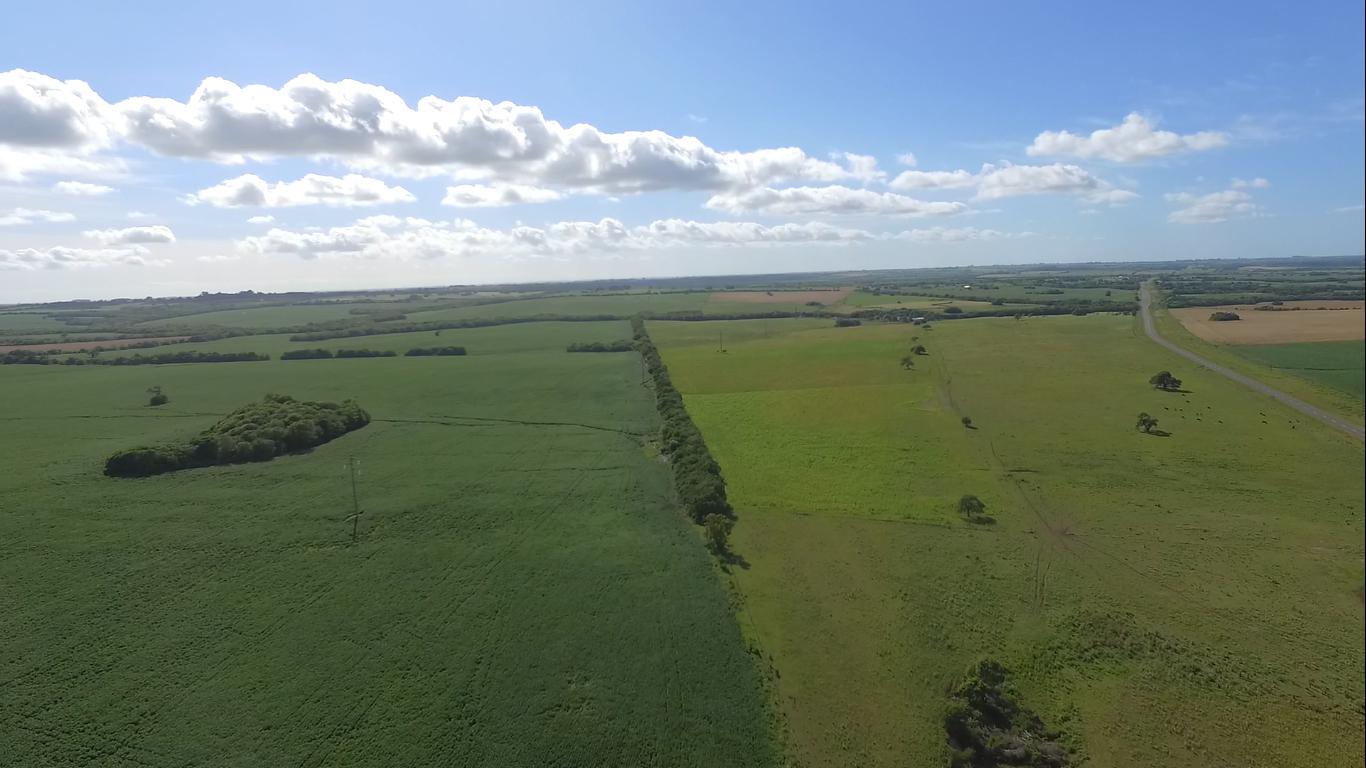 Campo en Victoria