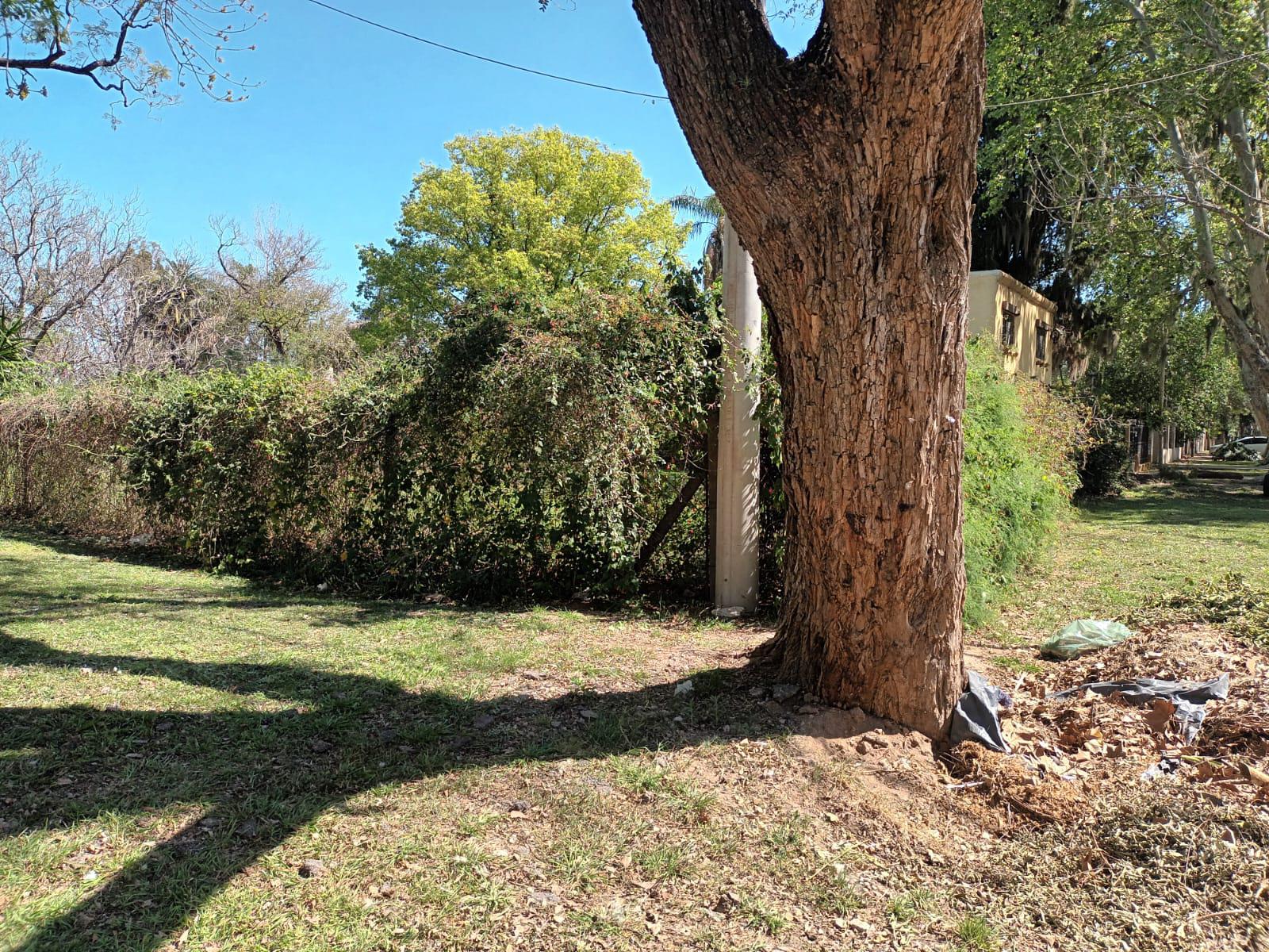 Terreno en la reserva ecológica (Granadero Baigorria)