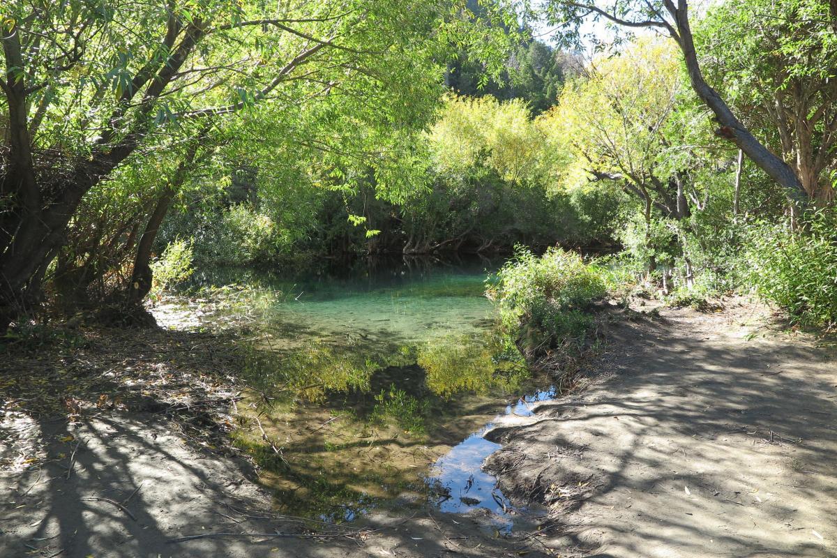 Fraccion de 6800 metros en costa de Lago Epuyen