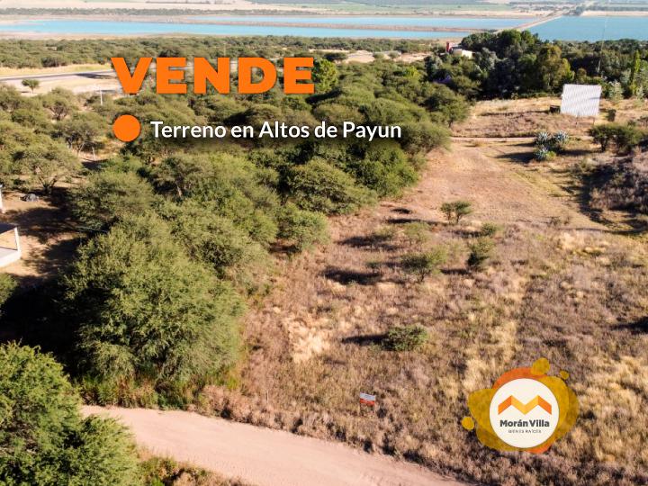 Altos de Payun - Terreno - Toay (La Pampa)