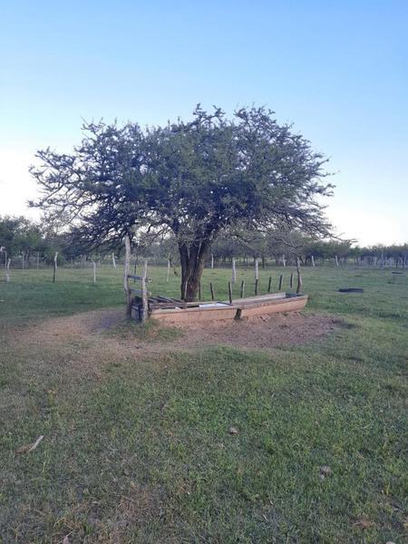 Oportunidad Campo Ganadero en Federal Entre Ríos