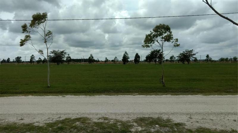 Terreno - Campos De Roca