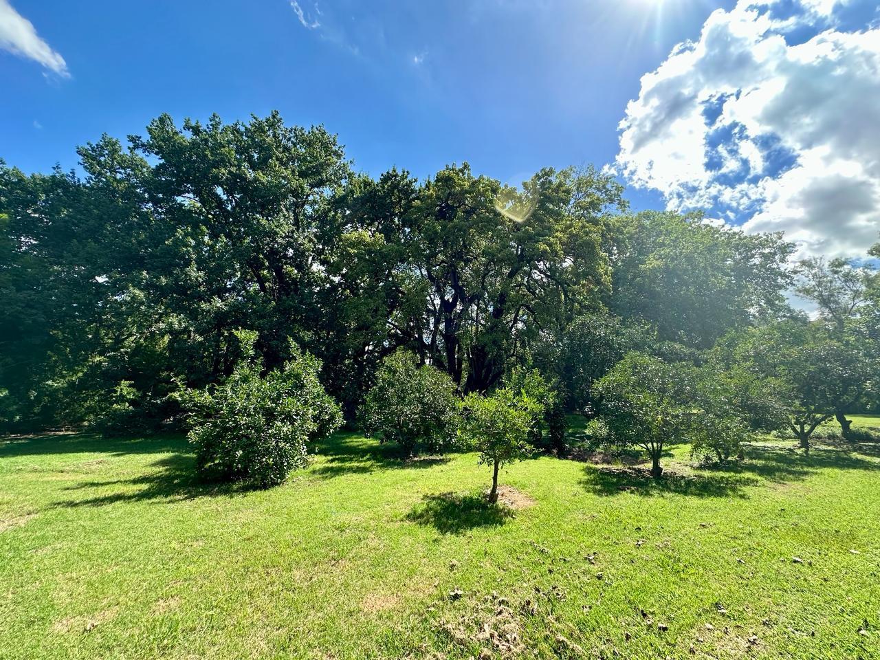 Lote en Barrio San Antonio, Lote 8, Loma Verde