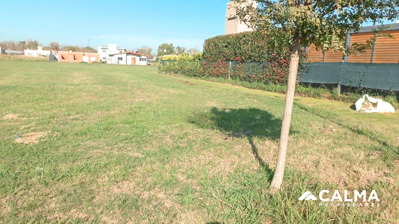 Lote 503m2 Molinas entre Suipacha y Gral López - Funes Norte.