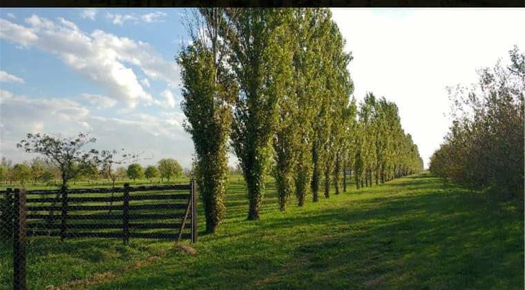 Terreno - Haras de Funes