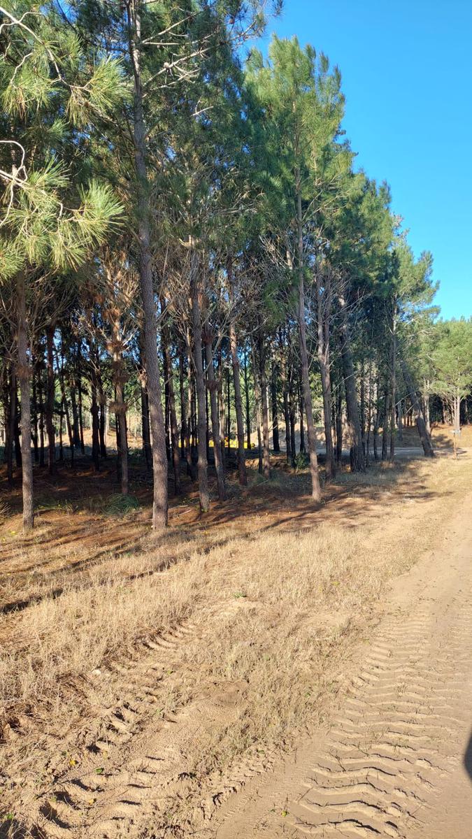 Terreno en Pioneros III, Pinamar.