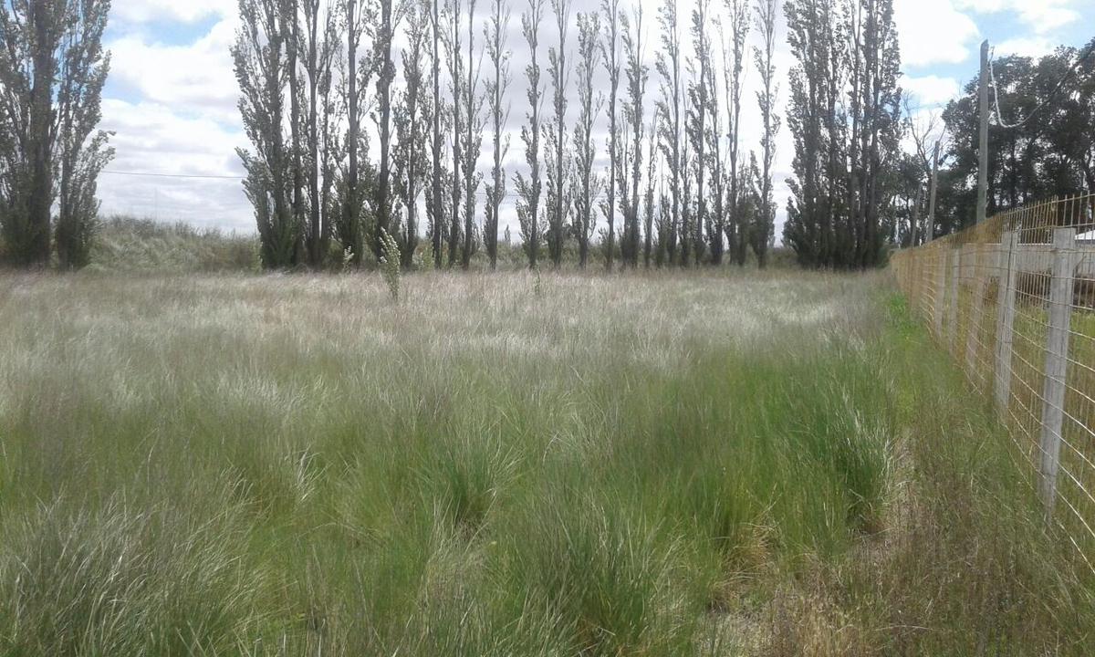 Terreno - Trelew