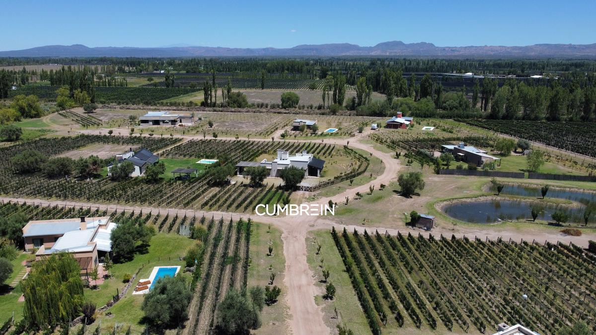 Miraviñas - Ultimo Lote con Viñedos en Cuadro Benegas