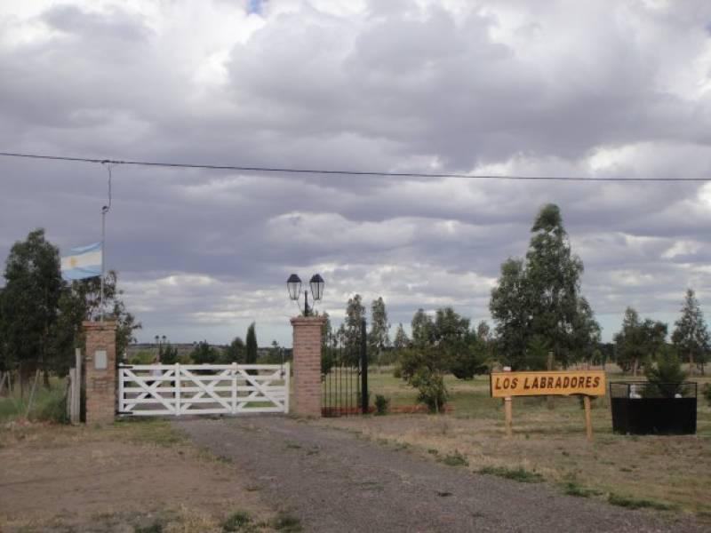 Rio Negro, Ruta 1. CHACRA LOS LABRADORES