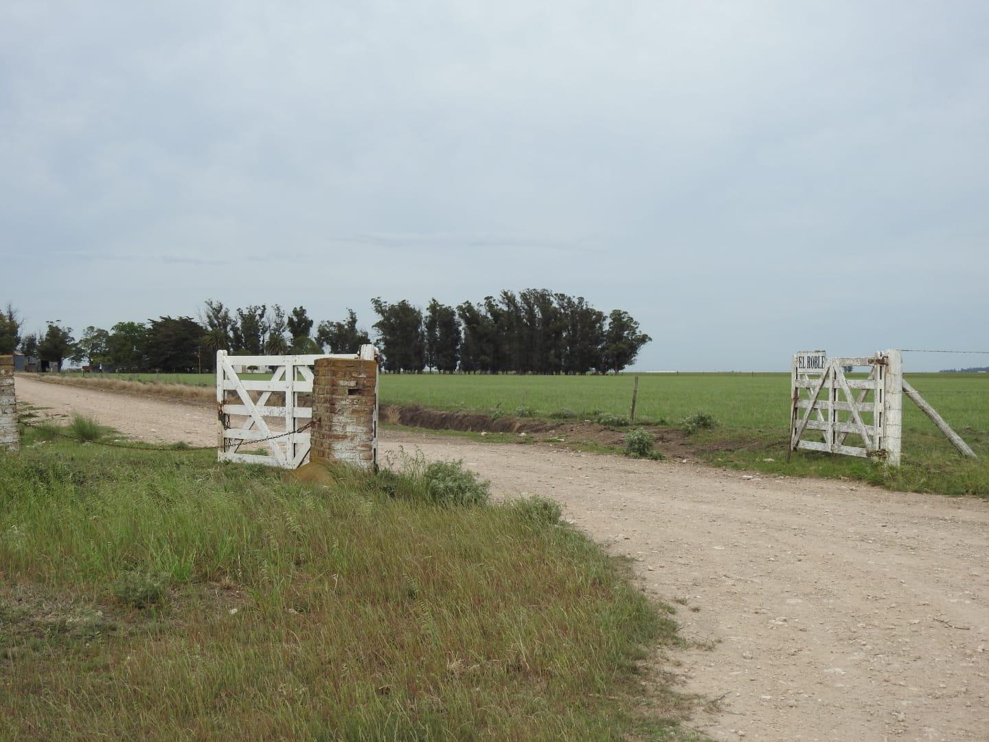 Campo en Juan N Fernandez