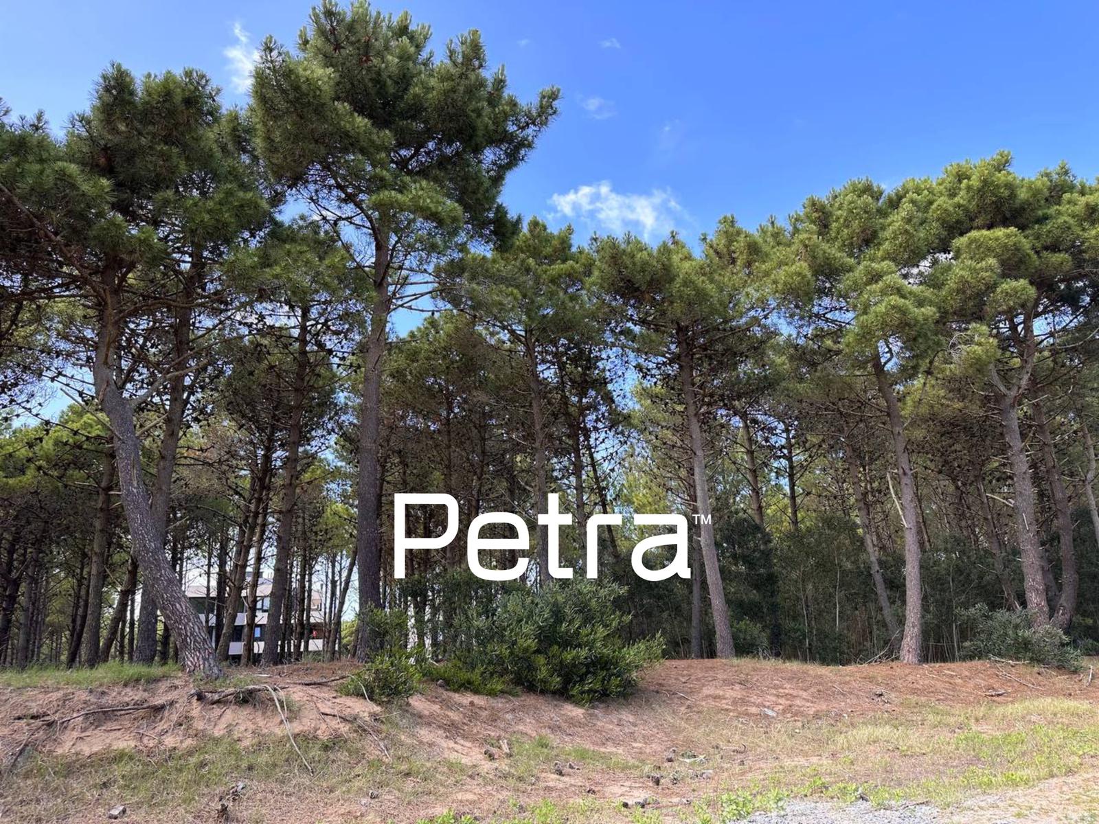 Terreno en venta en Pinamar Norte La  Frontera