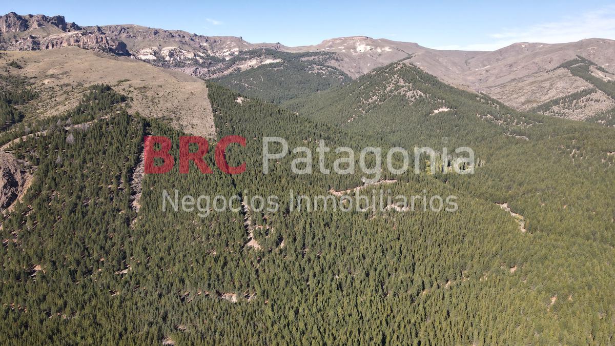 Campo - Ruta 237- Bariloche