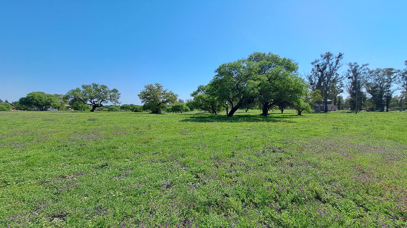 VENTA - Terreno - Chacras del Rincón, Timbúes,