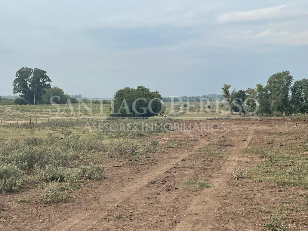 Terreno Campo  en Venta en Campana, G.B.A. Zona Norte, Argentina