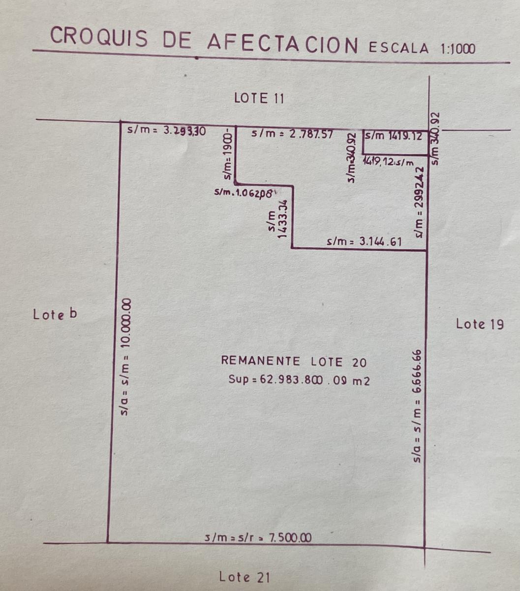 Campo de 1250Ha en las afueras de Loncopué