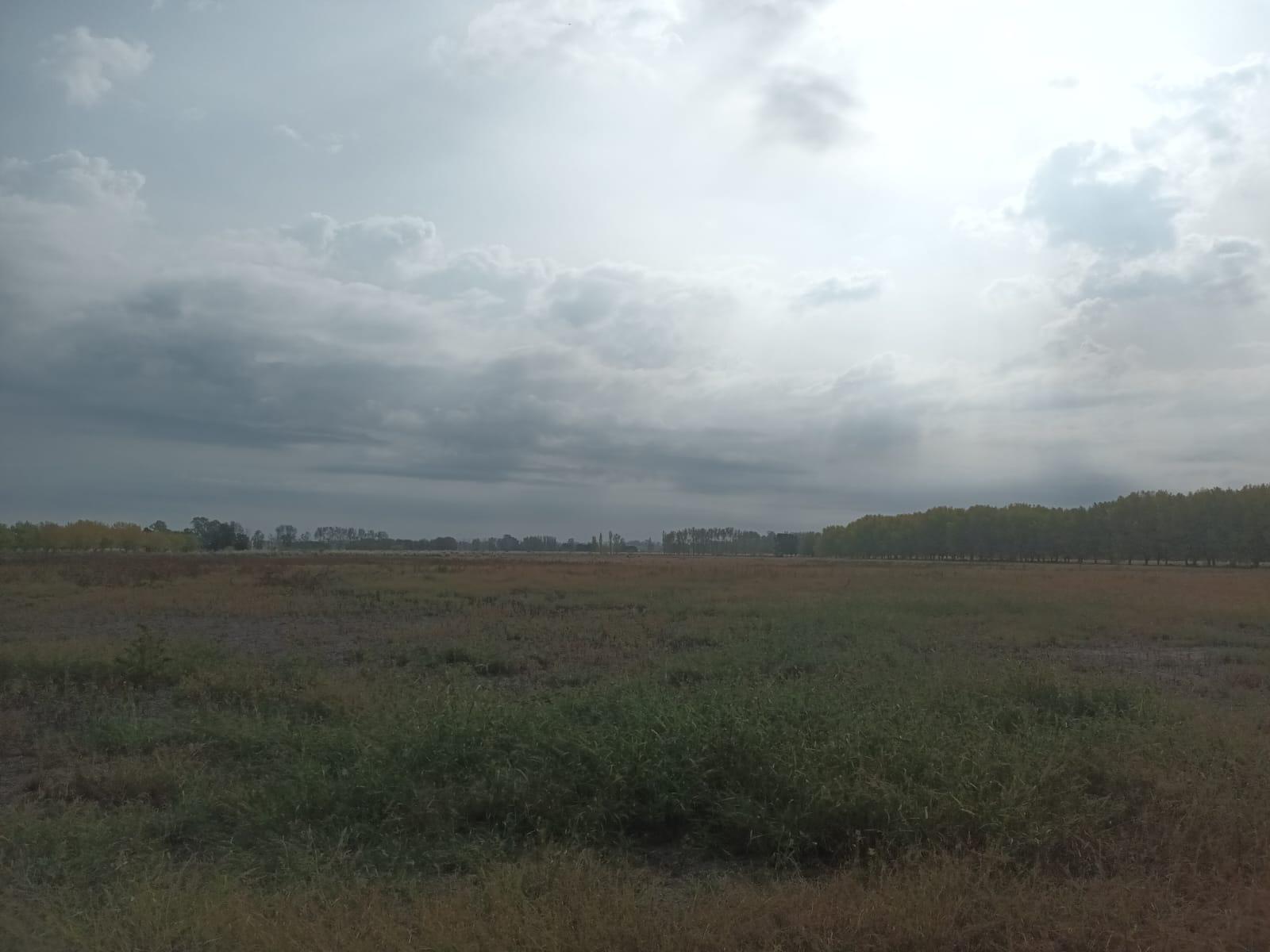 Terreno en Autopista Ezeiza-Cañuelas