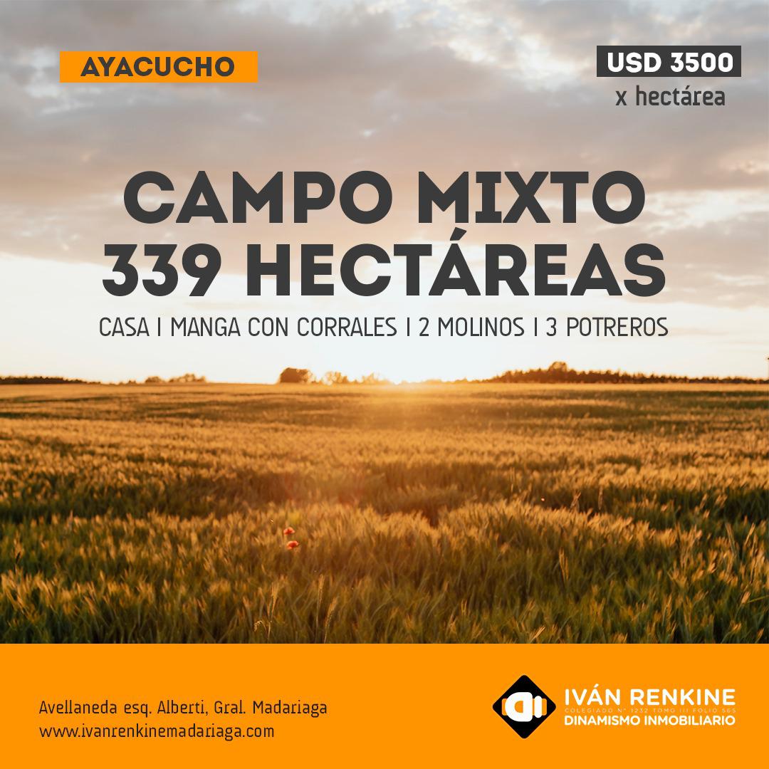 Campo en   Ayacucho y General Guido