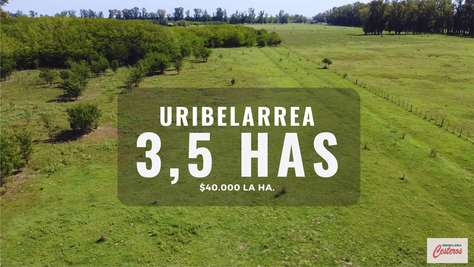 Terreno en  Fracción de Campo en Uribelarrea