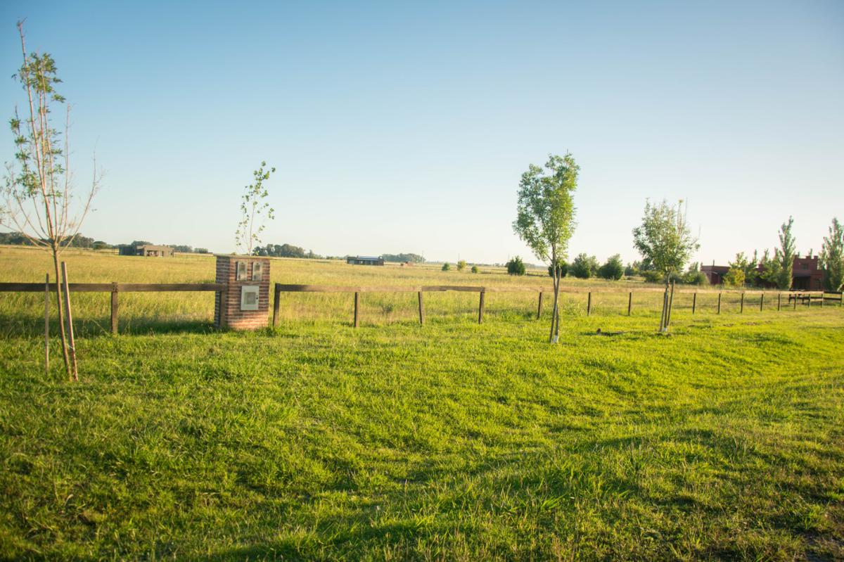 Terreno de una hectarea en Cañuelas