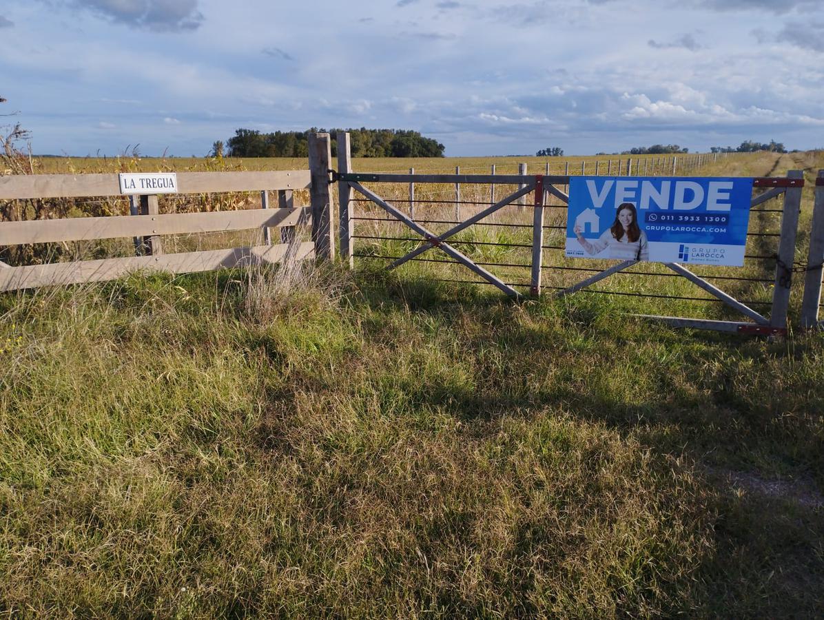 Campo en Saladillo 205 Km 233