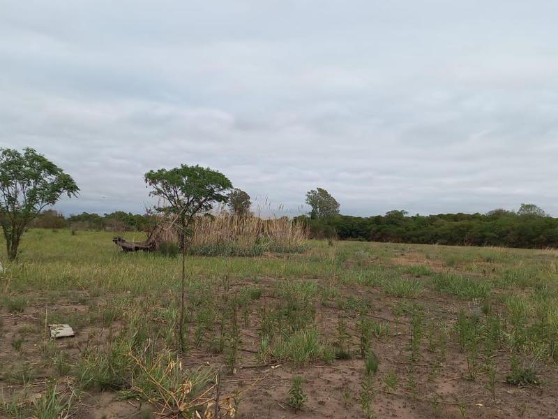 TERRENO 2 HECTAREAS CON ESCRITURA - EL GATEADO CORDOBA