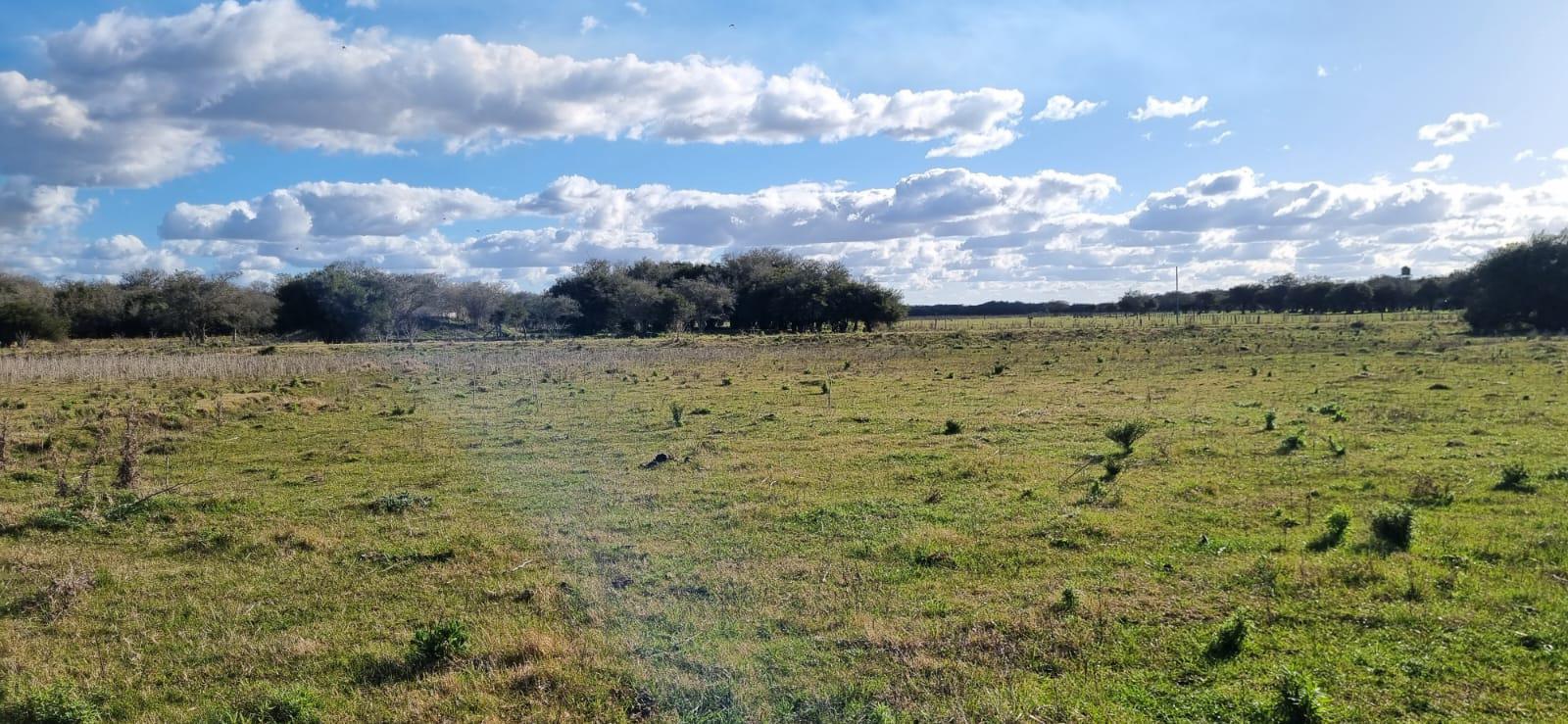 Terreno en General Madariaga