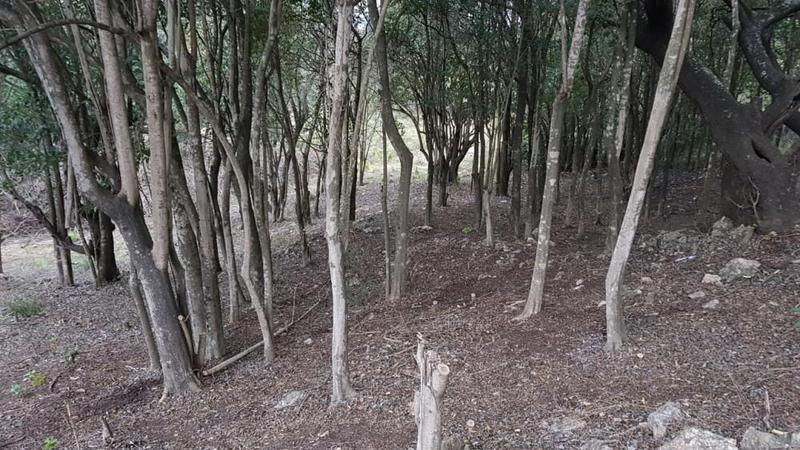 Vendo terreno de 1000 mts en La Falda!!IMuy buena ubicación!!!