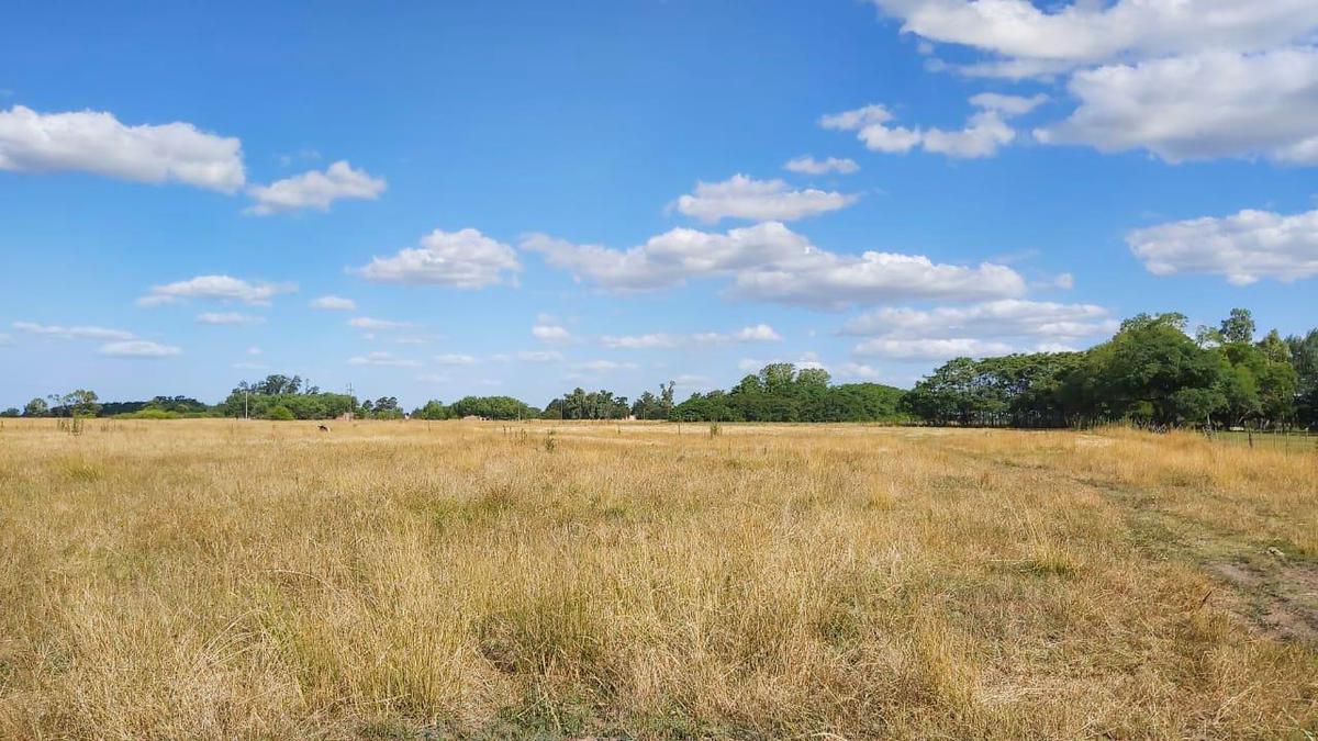 Venta Campo  en Lobos 16 has - Paraje Las Chacras