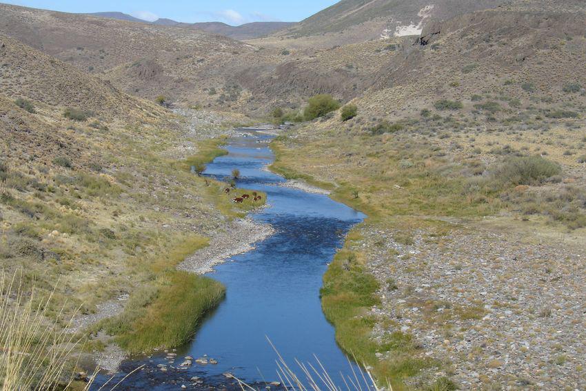 Campo sobre Río Pichileufu, Río Negro. Ruta 40 vieja - Bariloche