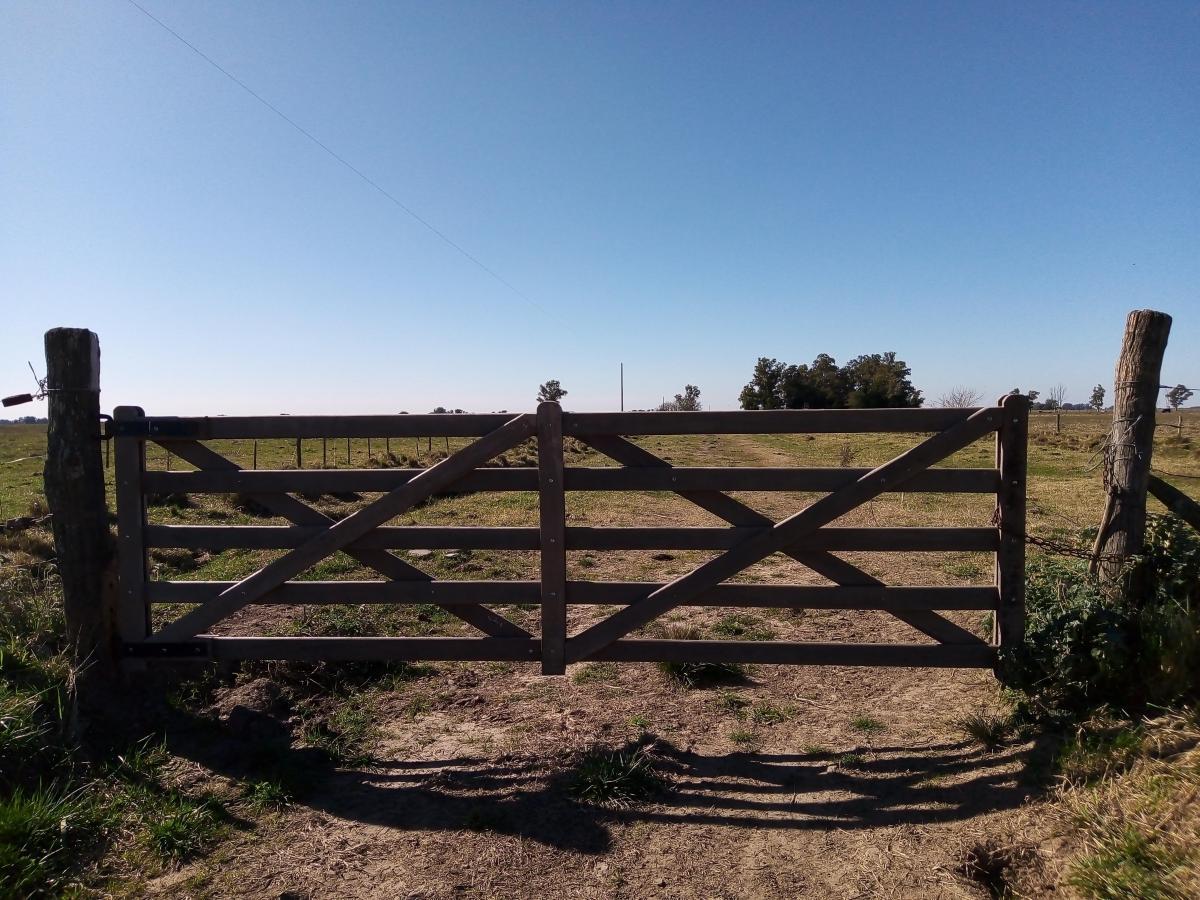 Campo en venta de 171 HAS en Ranchos, General Paz, Bs As.