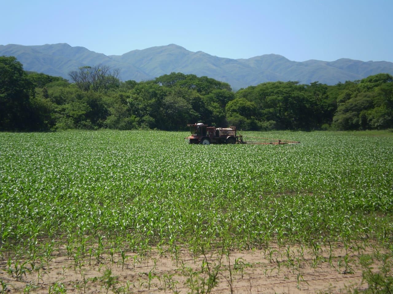 Oportunidad - Campo en Venta en Rosario de La Frontera