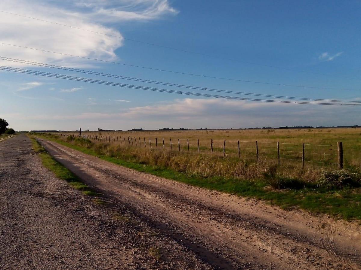 Campo en venta de 141 HAS en Ranchos, General Paz, Bs As.