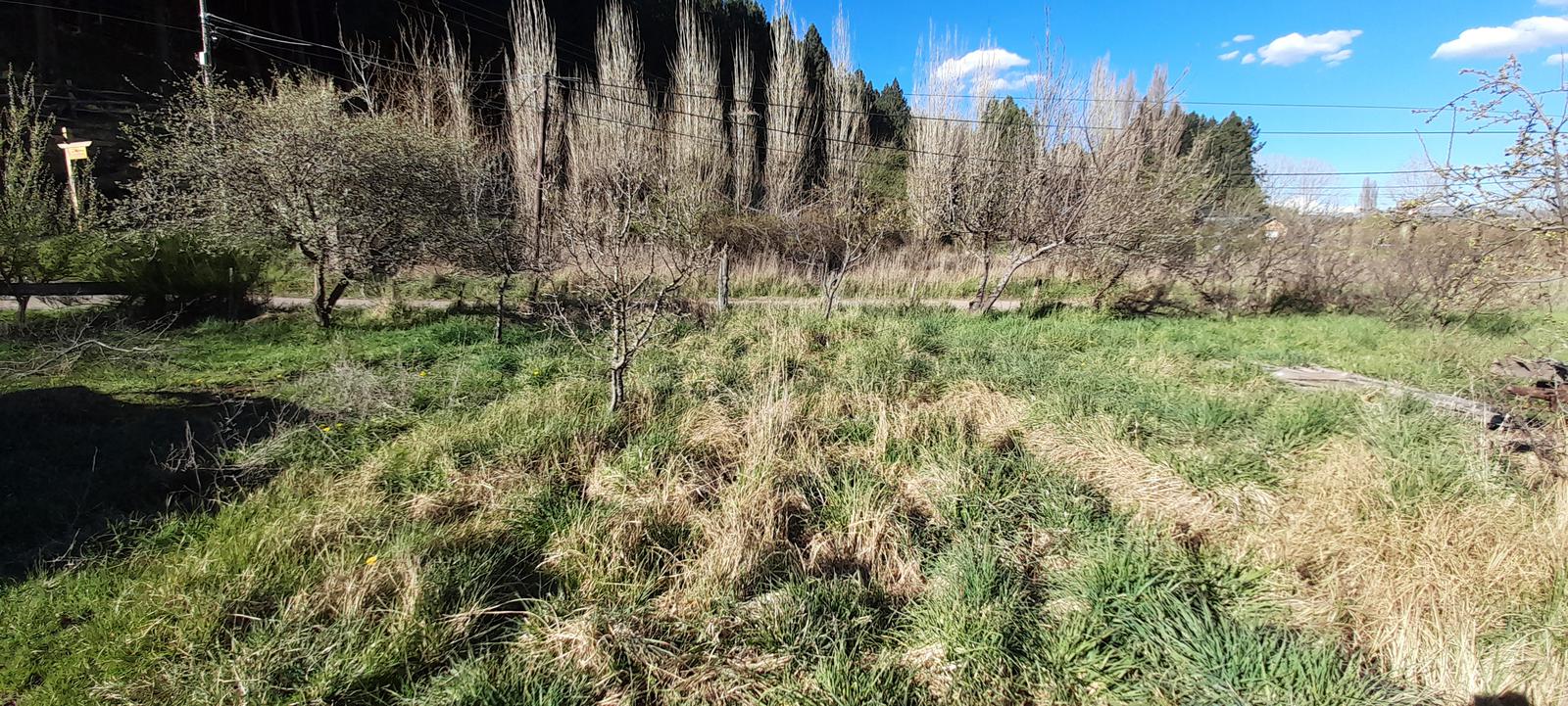 Terreno en Villa Vega San Martín, SMA