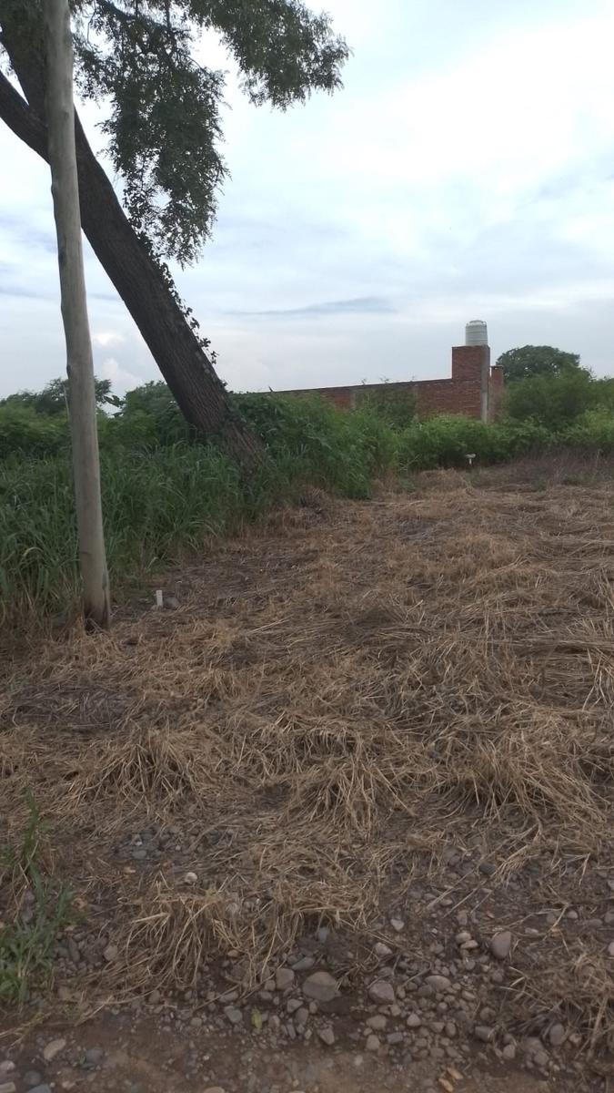 Terreno en  bosque del ceibal