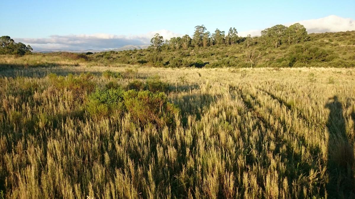 VENTA Terreno - La Falda, Córdoba, Argentina.