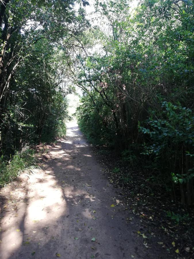 Terreno - Rio Ceballos - Ñu Porá